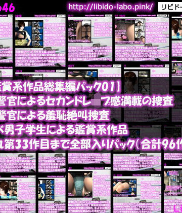 制服【■【動画鑑賞系作品総集編パック01】男性警官による捜査、女性警官による捜査、スケベ男子学生による鑑賞系作品、それぞれ第33作目まで全部入りパック（合計96作品）】Libido-Labo評価