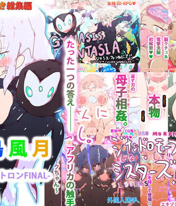 ファンタジー【【購入特典付き・総集編】花鳥風月-ジナシストロンFINAL-】ヒロカワミズキ（スタジオ・ジナシスタ！！）評価