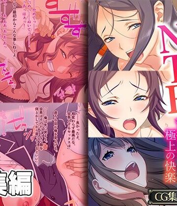 巨乳【禁断のNTRセフレ 〜背徳Hは極上の快感〜【CG集コレクション】】どろっぷす！評価