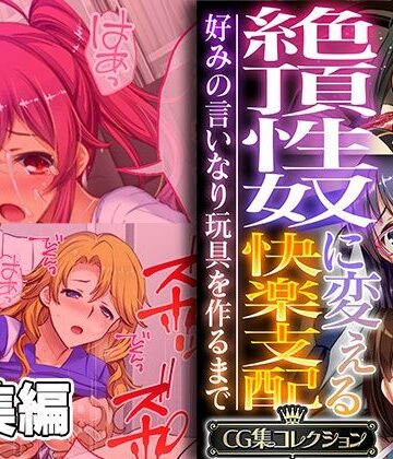 辱め【絶頂性奴に変える快楽支配 〜好みの言いなり玩具を作るまで〜【CG集コレクション】】どろっぷす！評価