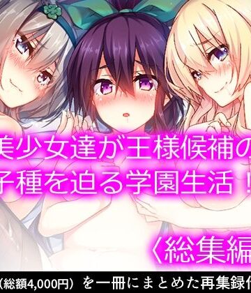 ファンタジー【発情美少女達が王様候補の僕に子種を迫る学園生活！ ＜総集編・上＞】悶々堂評価