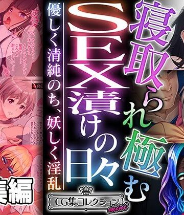 ギャル【寝取られ極むSEX漬けの日々 〜優しく清純のち、妖しく淫乱〜【CG集コレクション ミニ】】どろっぷす！評価