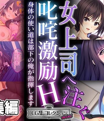 処女【女上司へ注ぐ叱咤激励H 〜身体の使い道は部下の俺が指揮します〜【CG集コレクション ミニ】】どろっぷす！評価