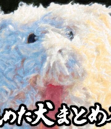 ギャグ・コメディ【舐めた犬まとめ本】舐めた犬評価4.86