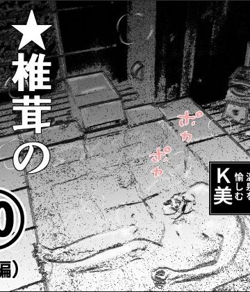 熟女【実録 ★椎茸のえろ旅 10 （中編）】干し椎茸評価