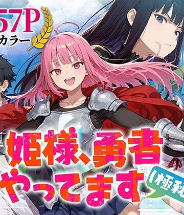 ファンタジー【姫様、勇者やってます（極秘）】みーとぱい評価