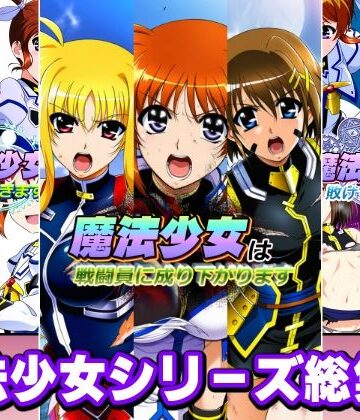 変身ヒロイン【魔法少女シリーズ総集編】AfterImage評価