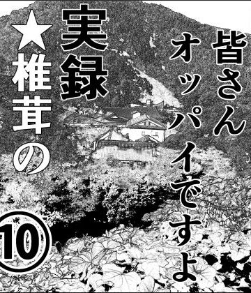 熟女【実録 ★椎茸のえろ旅 10 （後編）】干し椎茸評価