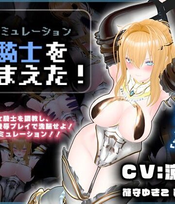 3DCG【【CV:涼貴涼、篠守ゆきこ、春乃つくし】聖騎士を捕まえた！【魔王軍洗脳シミュレーション】】こうねつひ評価1.00