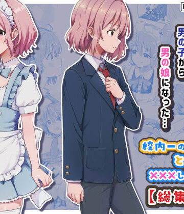 女装・男の娘【校内一の美少年と×××した話【総集編】】StudioHALTO評価