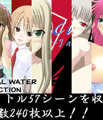 辱め【MINERAL WATER COLLECTION】MINERAL WATER評価