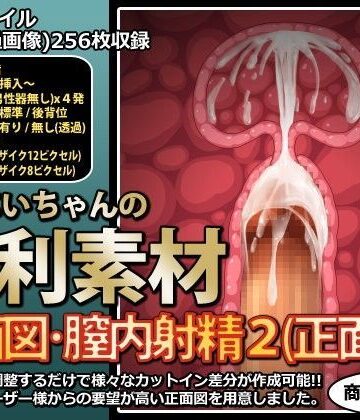 中出し【行商じいちゃんの便利素材 断面図・膣内射精2（正面図）】行商じいちゃん評価