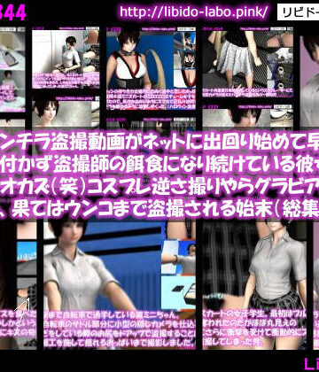 制服【彼女のパンチラ盗撮動画がネットに出回り始めて早3年超。未だに気付かず盗撮師の餌食になり続けている彼女は国宝級のオカズ（笑）コスプレ逆さ撮りやらグラビア動画の流出やら、果てはウンコまで盗撮される始末（総集編Vol.8）】Libido-Labo評価