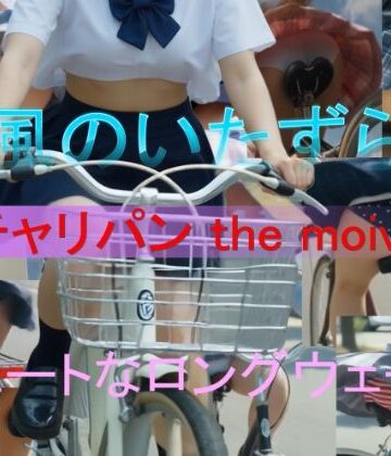 動画・アニメーション【チャリパン the movie キュートなロングウェーブ】A_LOVE_A評価