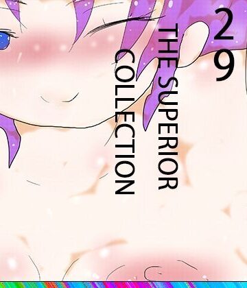 イラスト・CG集【29 THE SUPERIOR COLLECTION】ヒロカワミズキ（スタジオ・ジナシスタ！！）評価
