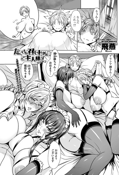 飛燕■たくさん召し上がれ ご主人様っ（単話）|【単話】