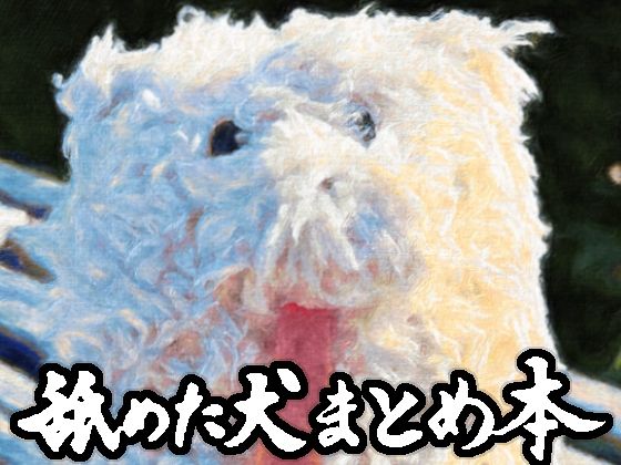 ■舐めた犬まとめ本|【ギャグ・コメディ】舐めた犬