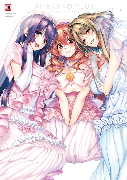 ピロ水■アマカノ＋ ビジュアルファンブック|【単行本】