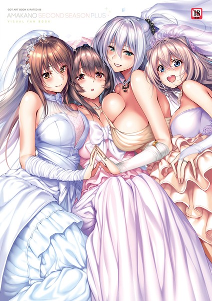 ピロ水■アマカノ〜Second Season〜＋（プラス）ビジュアルファンブック【FANZA限定特典付き】|【単行本】