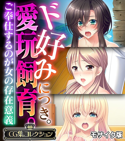 大人のSEXY絵本■ド好みにつき。愛玩飼育。 〜ご奉仕するのが女の存在意義〜【CG集コレクション】 モザイク版|【フルカラー】