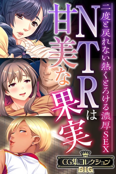 大人のSEXY絵本■NTRは甘美な果実〜二度と戻れない熱くとろける濃厚SEX〜【CG集コレクションBIG】|【単行本】