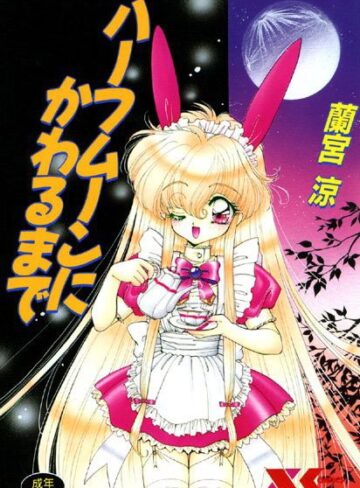 蘭宮涼■ハーフムーンにかわるまで|【ファンタジー】評価ポイント