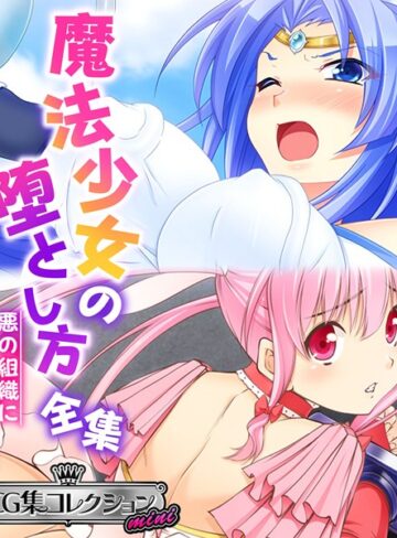 大人のSEXY絵本■魔法少女の堕とし方全集 〜悪の組織に転身セックス〜 【CG集コレクション ミニ】|【単行本】評価ポイント