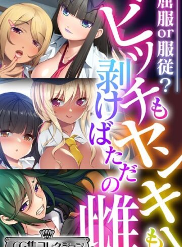 大人のSEXY絵本■ビッチもヤンキーも剥けばただの雌 〜屈服or服従？〜【CG集コレクション ミニ】|【単行本】評価ポイント