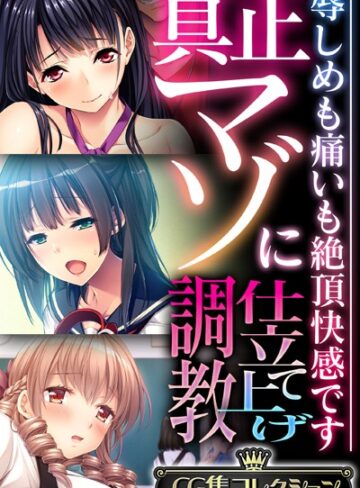 大人のSEXY絵本■真正マゾに仕立て上げ調教 〜辱しめも痛いも絶頂快感です〜【CG集コレクション】|【単行本】評価ポイント