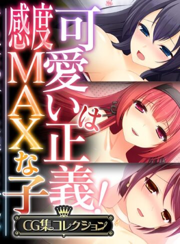 大人のSEXY絵本■可愛いは正義！感度MAXな子 〜でも、女の子とは限りません！？〜【CG集コレクション】|【単行本】評価ポイント