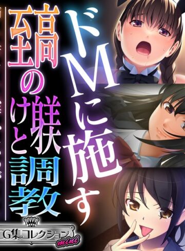 大人のSEXY絵本■ドMに施す至高の躾けと調教 〜痛くて苦しくて恥ずかしいのがイイ！！〜【CG集コレクション ミニ】|【単行本】評価ポイント