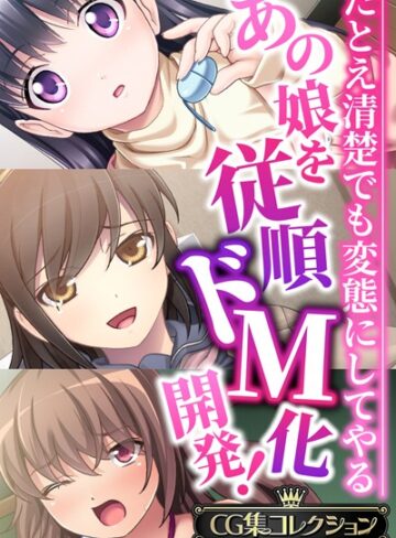 大人のSEXY絵本■あの娘を従順ドM化開発！〜たとえ清楚でも変態にしてやる〜【CG集コレクションBIG】|【単行本】評価ポイント