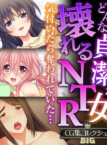 ■どんな貞潔な女も壊れるNTR〜気付いたら奪われていた…〜【CG集コレクションBIG】|【単行本】