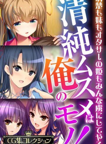 大人のSEXY絵本■清純ムスメは俺のモノ！〜清楚も妹もオタサーの姫もみんな虜にしてやる〜【CG集コレクションBIG】|【単行本】評価ポイント