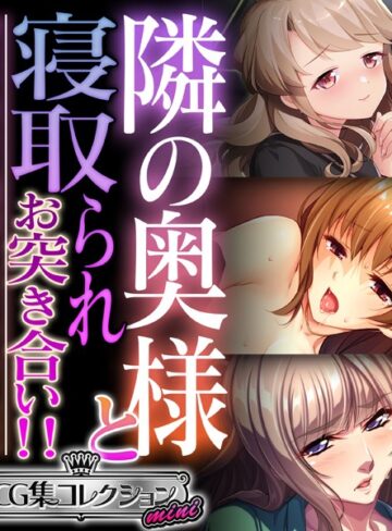 大人のSEXY絵本■隣の奥様と寝取られお突き合い！！ 〜惰性な毎日に刺激を注ぐケモノ交尾〜【CG集コレクション ミニ】|【単行本】評価ポイント