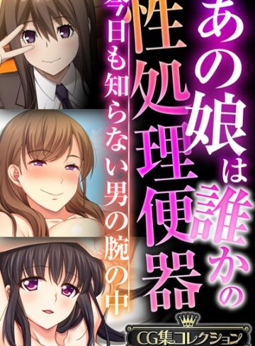 ■あの娘は誰かの性処理便器 〜今日も知らない男の腕の中〜【CG集コレクションBIG】|【単行本】