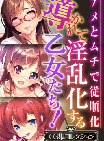 ■導かれて淫乱化する乙女たち！〜アメとムチで従順化〜【CG集コレクションBIG】|【単行本】