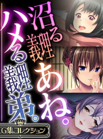 大人のSEXY絵本■沼る義理あね。ハメる義理弟。 〜一線を超えて…SEXで深める男女のナカ〜【CG集コレクション】|【単行本】評価ポイント