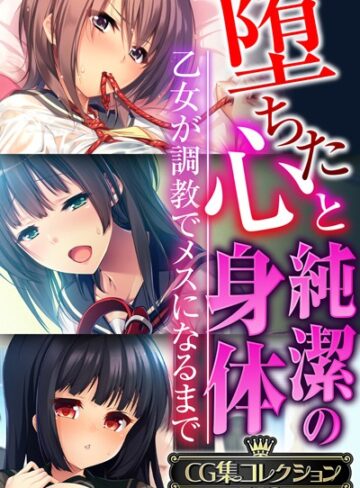 大人のSEXY絵本■堕ちた心と純潔の身体〜乙女が調教でメスになるまで〜【CG集コレクションBIG】|【単行本】評価ポイント