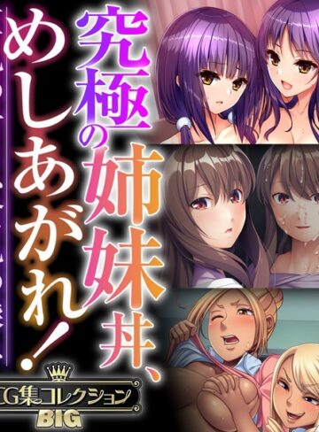 ■究極の姉妹丼、めしあがれ！〜巨乳の甘さ、貧乳の深み〜【CG集コレクションBIG】|【単行本】