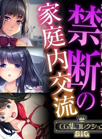 ■禁断の家庭内交流 〜ボクの家族はいつも汁だく〜【CG集コレクションBIG】|【単行本】