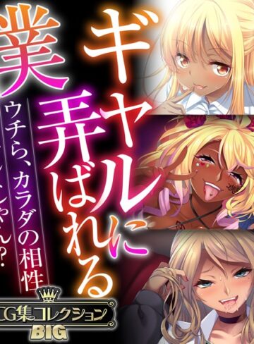 ■ギャルに弄ばれる僕 〜ウチら、カラダの相性バッチシじゃん？〜【CG集コレクションBIG】|【単行本】