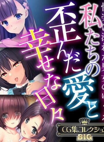 大人のSEXY絵本■私たちの歪んだ愛と幸せな日々 〜快楽に溺れた男女のゆくえ〜【CG集コレクションBIG】|【単行本】評価ポイント