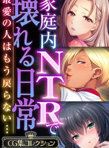 ■家庭内NTRで壊れる日常 〜最愛の人はもう戻らない…〜【CG集コレクションBIG】|【単行本】