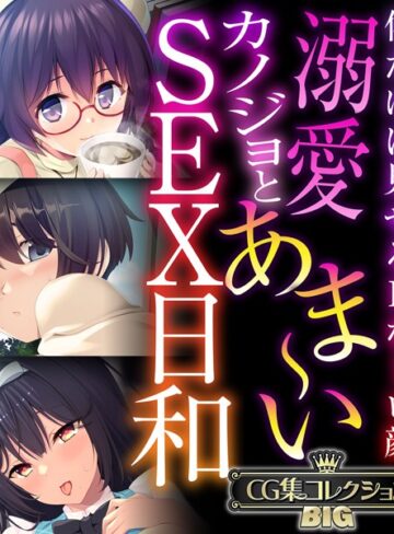 ■溺愛カノジョとあま〜いSEX日和 〜僕だけに見せるHなトロ顔〜【CG集コレクションBIG】|【単行本】