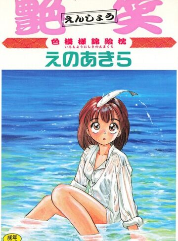 えのあきら■艶笑 色模様錦絵枕|【単行本】評価ポイント